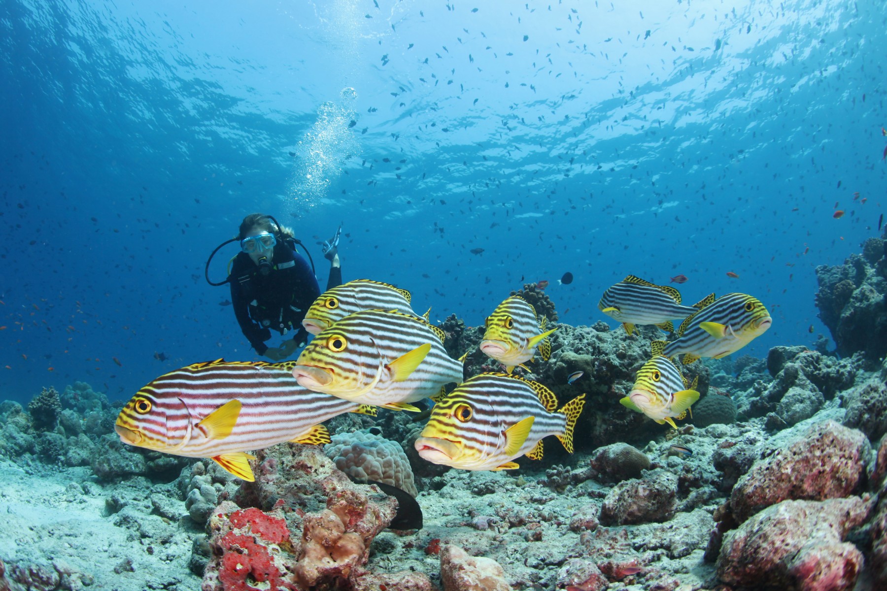 Conrad Maldives Rangali Island